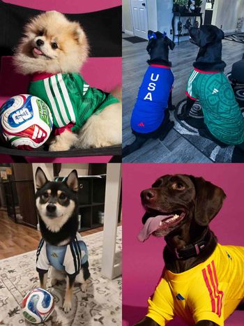 毛孩一起瘋世足！adidas世界盃「寵物球衣」爆可愛！變身超萌四腳啦啦隊、台灣官網有賣「這兩隊」！