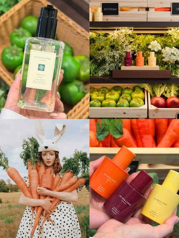 Jo Malone London史上最夢幻新品來了！英倫田園系列登場，蕾絲胡蘿蔔花香水、奶油南瓜香一次聞到田園豐收香氣！