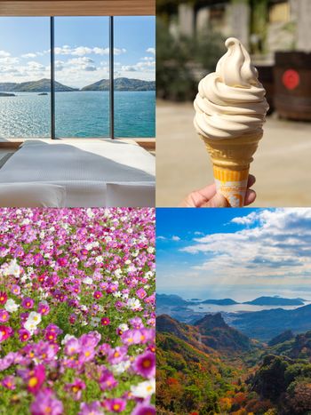 2026秋季就去日本瀨戶內海「小豆島」！「寒霞溪賞楓、超爆美波斯菊花海」必玩亮點一次看！