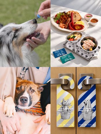 赤峰街咖啡廳Cream & Bean推2026寵物月活動！期間限定「毛孩變裝比賽、鼻紋壓印體驗」太好玩！