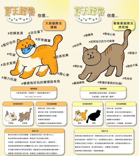 社群爆紅貓咪心理測驗！9題測出你的個性最像哪種貓、你是療癒布偶貓還是吃貨橘貓？-11