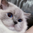 default-avatar