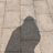 default-avatar