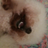 default-avatar