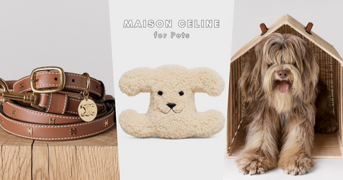 CELINE寵物系列可愛瘋掉！項圈、狗碗、旅行狗袋...狗奴們錢包原地哭泣！