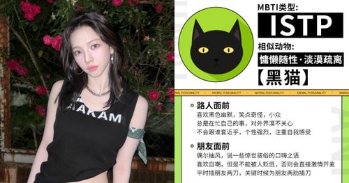 Dcard瘋傳「動物MBTI」心理測驗！12題測出你的MBTI內心隱藏版+代表動物！