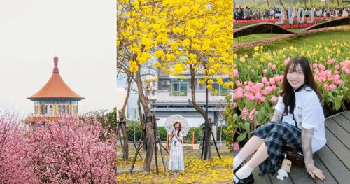 2025春季全台必拍5大花海景點推薦！士林官邸鬱金香、黃花風鈴木、櫻花花海⋯美到相機停不下來！