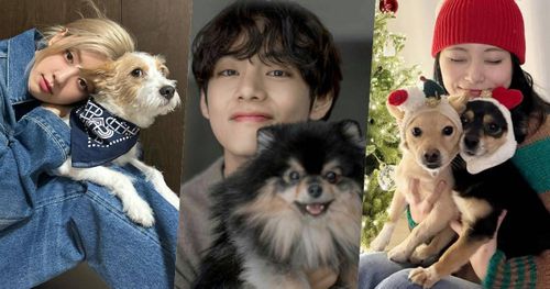 實踐「領養代替購買」韓星毛孩盤點！Rosé、子瑜、V領養浪浪故事逼哭全網，從被遺棄到變最幸福家人！