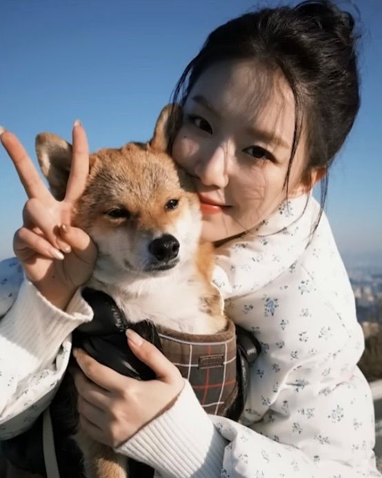 秀彬、舒華都是柴犬奴！超萌柴柴日常公開，颱風天陪散步是基本，養阿柴前必知5大照顧重點！-3