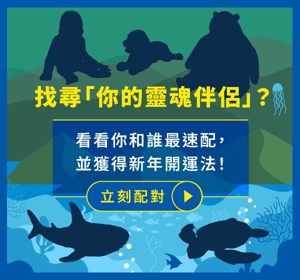 你選鯊鯊還是慵懶熊？網爆紅IKEA心理測驗10秒找出「最適合的另一半」！-2