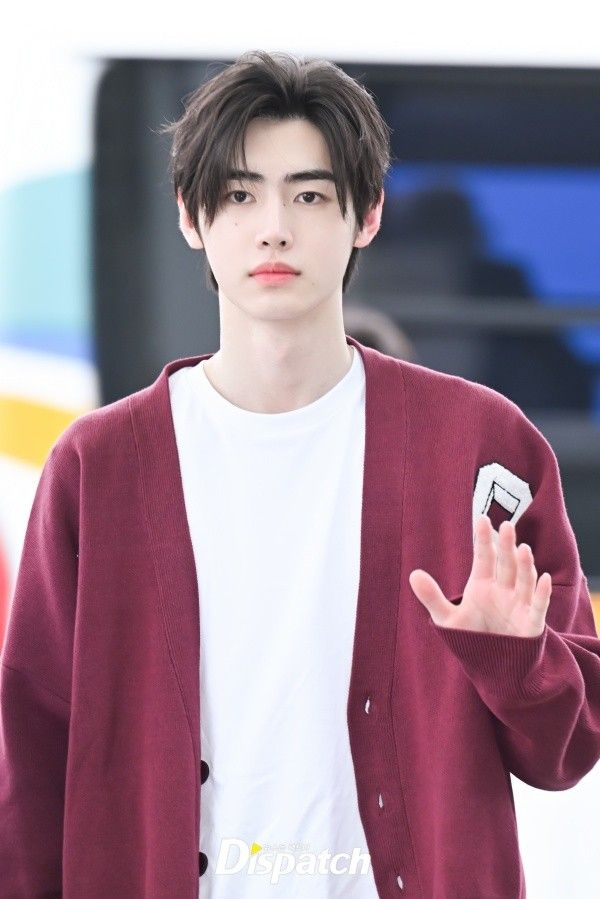 網熱議6位「醬油系」KPOP男偶像代表！防彈V、Stray Kids鉉辰入列，成訓高冷貴族氣質滿分！-2