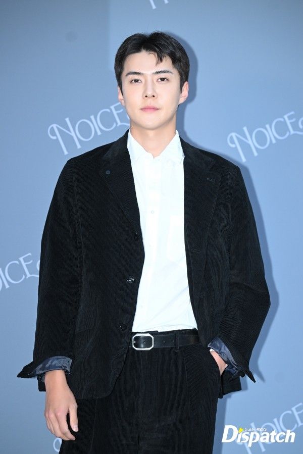 網熱議6位「醬油系」KPOP男偶像代表！防彈V、Stray Kids鉉辰入列，成訓高冷貴族氣質滿分！-7