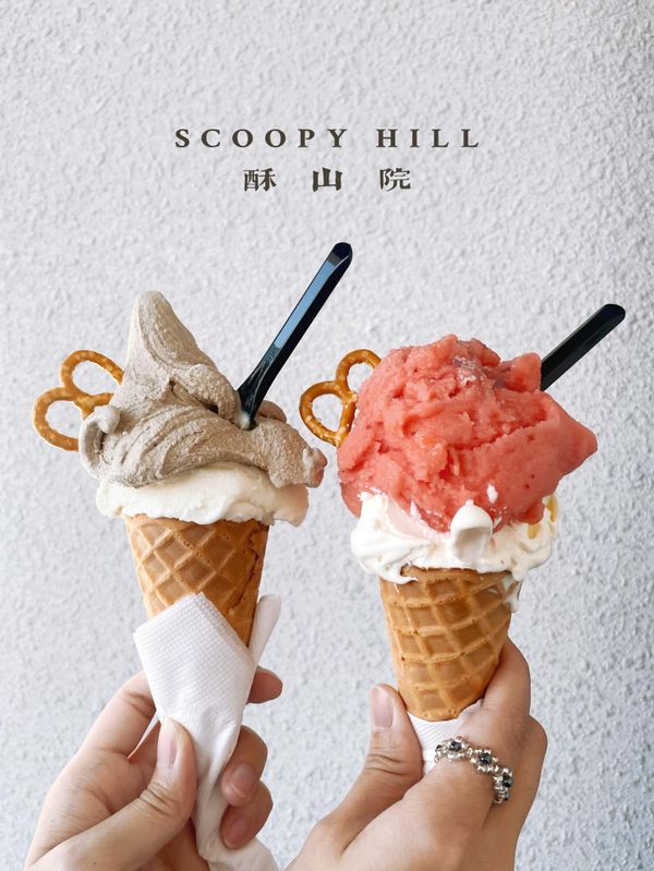 ▫️台南▫️今日吃「酥山院」武廟旁的質感義式冰淇淋