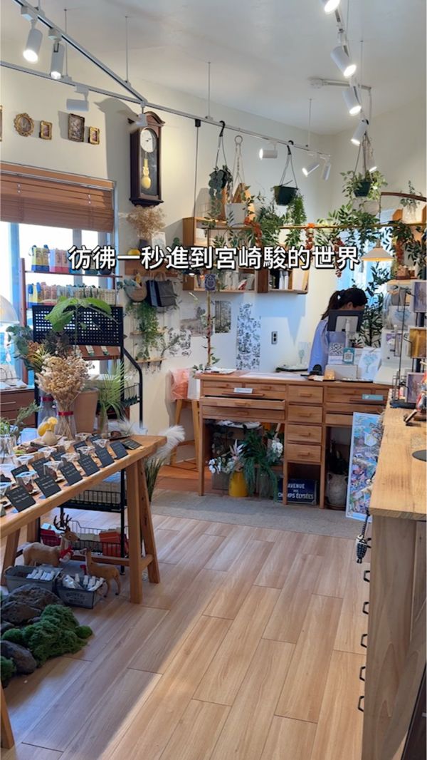 濟州島景點｜宮崎駿的秘境小店！？