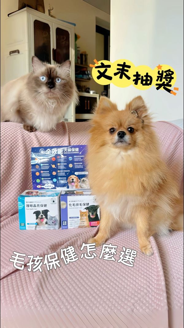 ✨IG抽獎✨你會給家裡的毛孩吃保健品嘛？