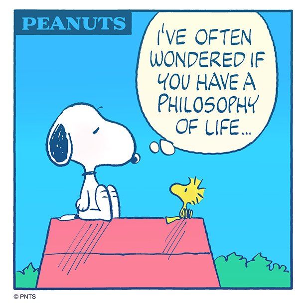 2026最受歡迎5大狗狗IP盤點！布丁狗四度奪人氣冠軍、「這隻」呆萌小狗連Jennie都超愛！-4