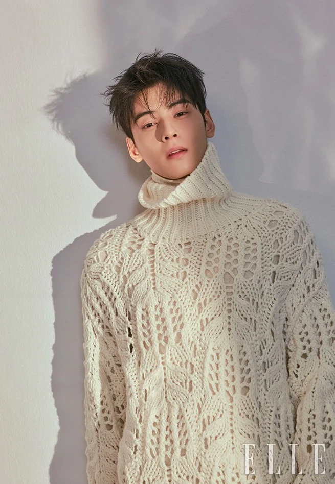 韓網公認7位最適合拍冬季畫報的韓星！邊佑錫浪漫氛圍感滿分，IU、車銀優顏值太犯規！-5