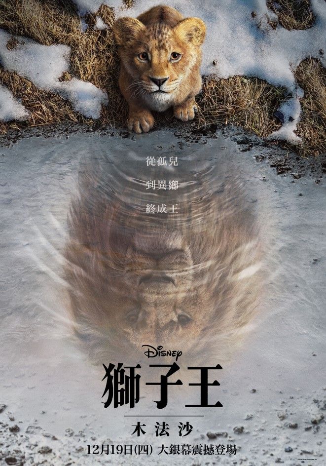 12月上映2024電影推薦！韓版《聽說》盧允瑞洪慶出演，迪士尼《獅子王：木法沙》特技太逼真，《音速小子3》話題超高！-6