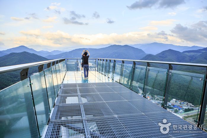 2026春季6大韓國旅遊景點推薦！江陵鏡浦湖櫻花海美翻天、首爾近郊跟羊駝近距離接觸太療癒！-13