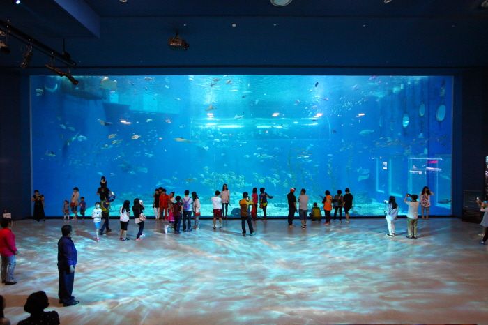 2024韓國濟州島景點推薦！史努比庭園、光影美術館、超夯橘子甜點店全都必打卡！-19
