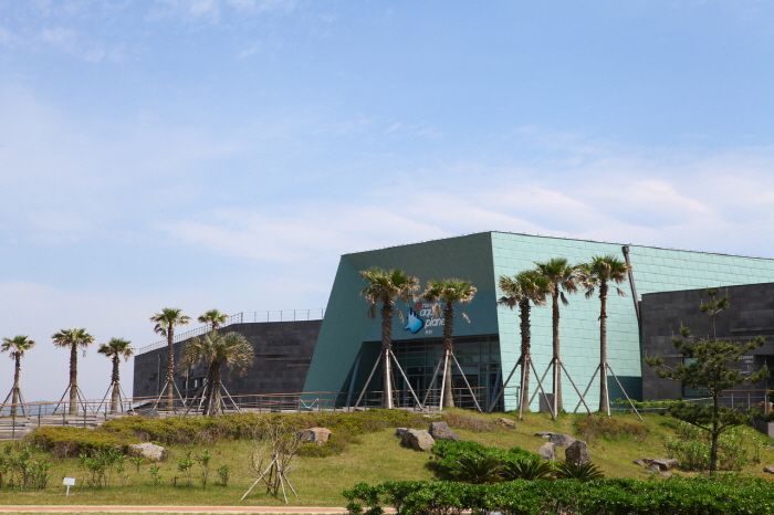 2024韓國濟州島景點推薦！史努比庭園、光影美術館、超夯橘子甜點店全都必打卡！-21
