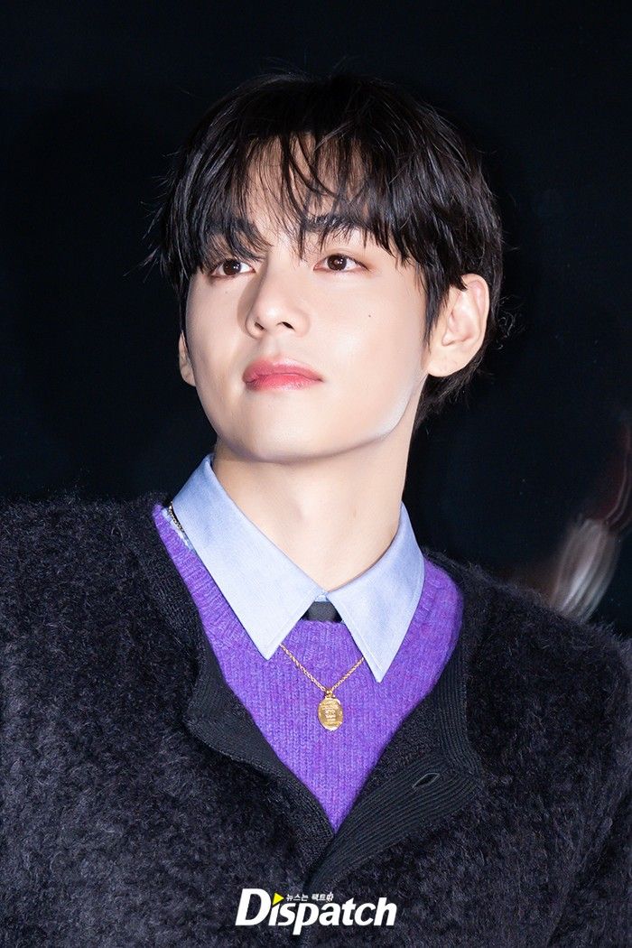 網友公認統一飯圈審美的「臉蛋天才」偶像！張員瑛顏值不只粉絲在誇，車銀優、V被封CG級神顏！-5