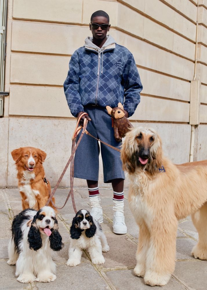 男友穿這樣遛狗太犯規？LV最新男裝系列「犬系男神」王鶴棣、The8...搶先穿給你看！-3