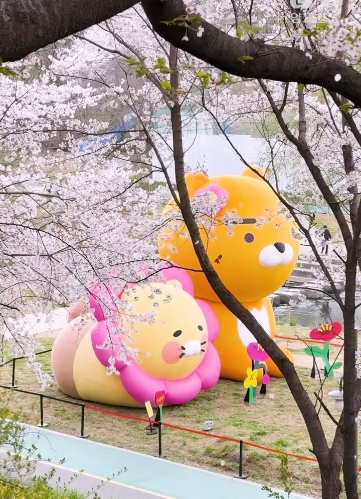 要去首爾玩的快看！春季限定巨大萊恩&春植限時「在這」登場，還能免費獲得櫻花造型小卡、氣球拍美照！-11