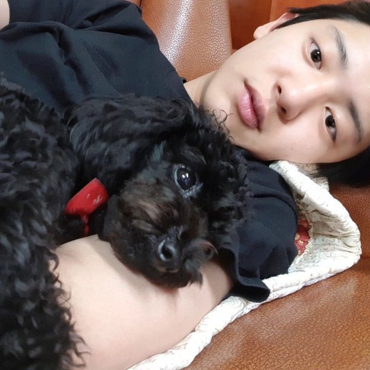 KPOP偶像毛孩爆紅！盤點7大KPOP偶像寵物帳號：柾國、Rosé愛犬追蹤破表，太妍＋ZERO實境秀萌翻粉絲！-13