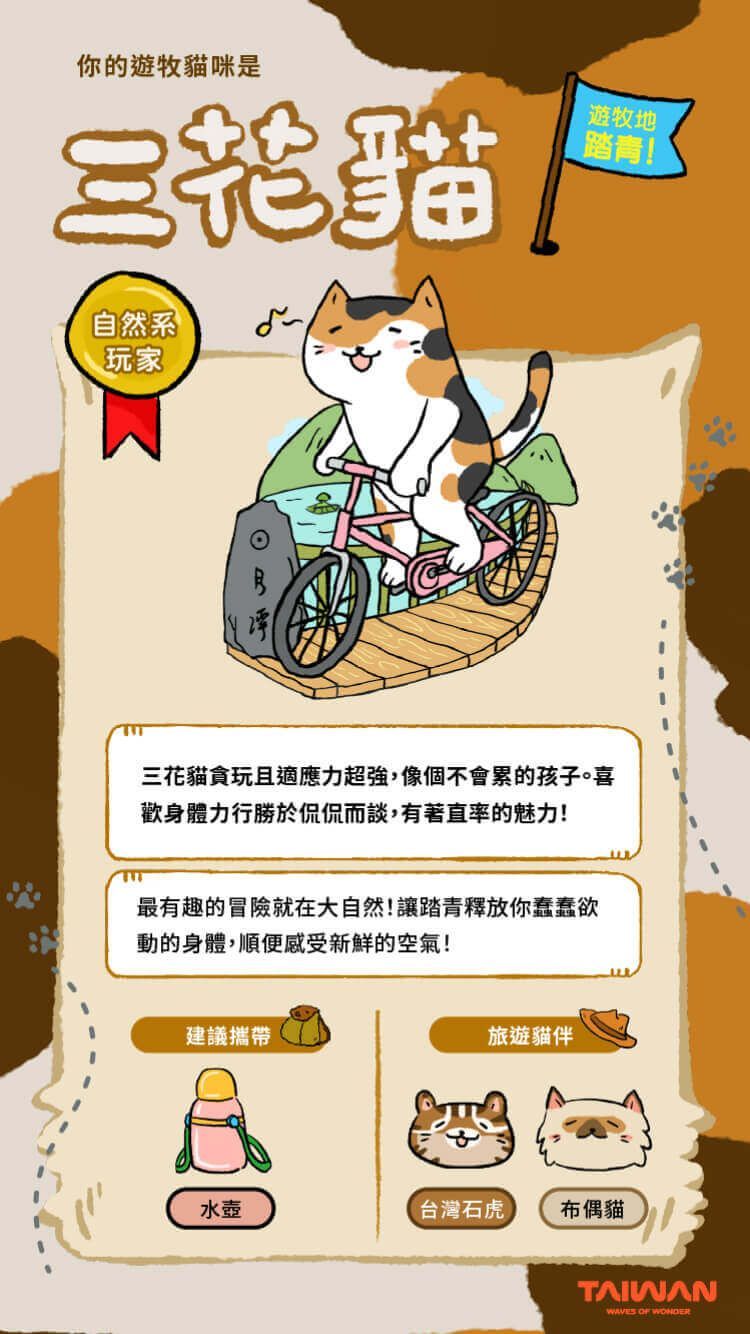 社群爆紅貓咪心理測驗！12題測你的個性最像哪種貓咪、你是活力滿滿的三花貓還是超I的紙箱貓？-8