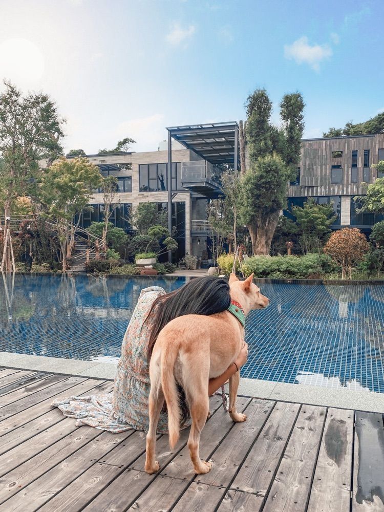 2025全台4大豪華露營推薦！南投峇嵐杉丘泡泡帳篷美翻天、「這座園區」還有超大泳池玩水太幸福！-10