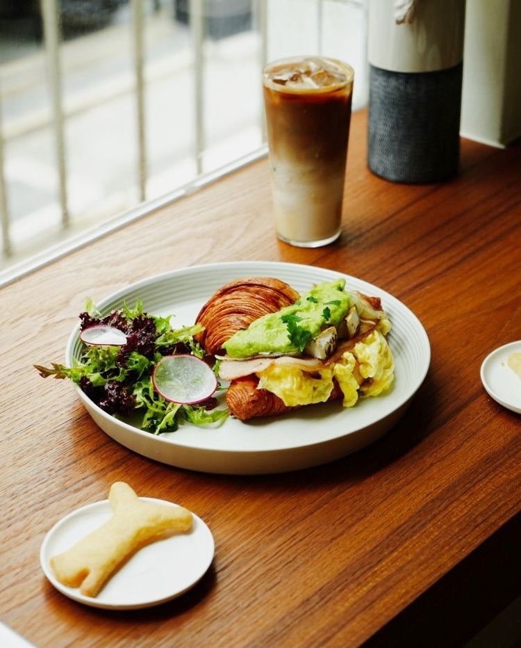 2025雙北4間貓咪咖啡廳推薦！呆萌賓士貓店長讓你擼到爆、還有Q翻「貓貓造型甜點」要吃！-8