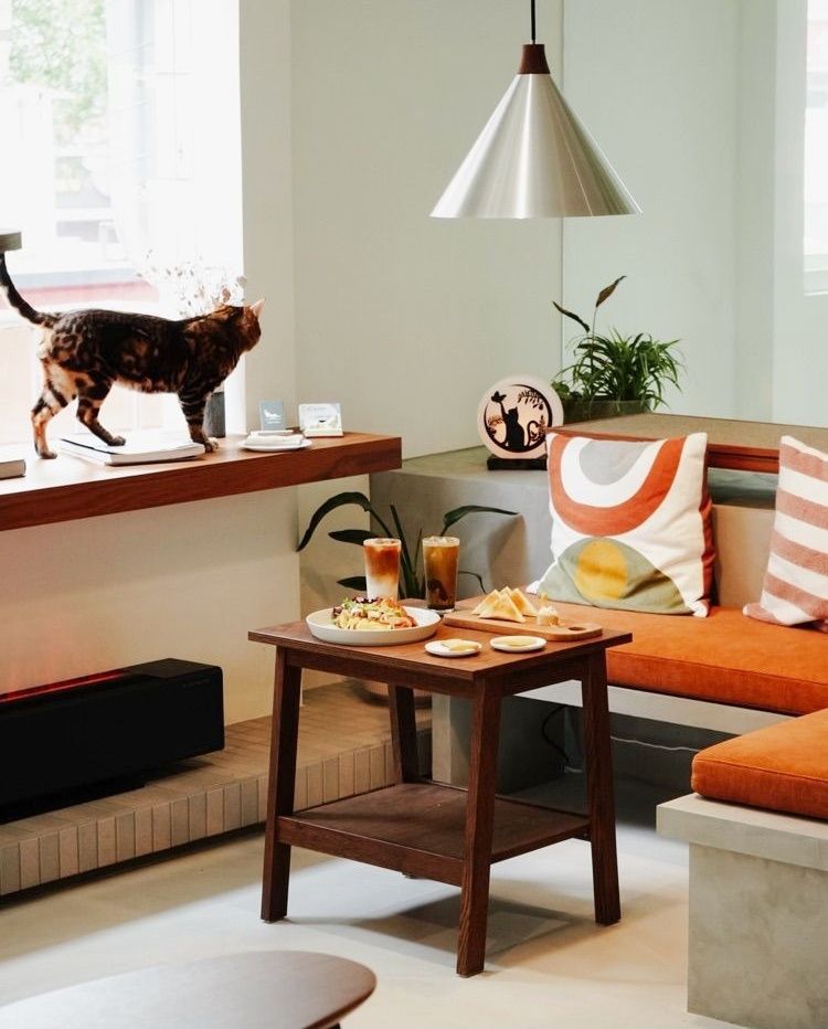 2025雙北4間貓咪咖啡廳推薦！呆萌賓士貓店長讓你擼到爆、還有Q翻「貓貓造型甜點」要吃！-7