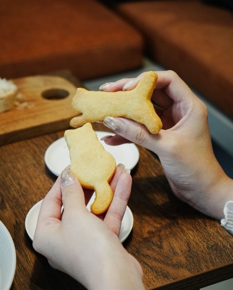 2025雙北4間貓咪咖啡廳推薦！呆萌賓士貓店長讓你擼到爆、還有Q翻「貓貓造型甜點」要吃！-10