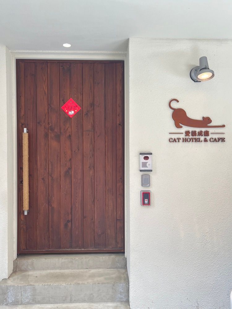 2025雙北4間貓咪咖啡廳推薦！呆萌賓士貓店長讓你擼到爆、還有Q翻「貓貓造型甜點」要吃！-11