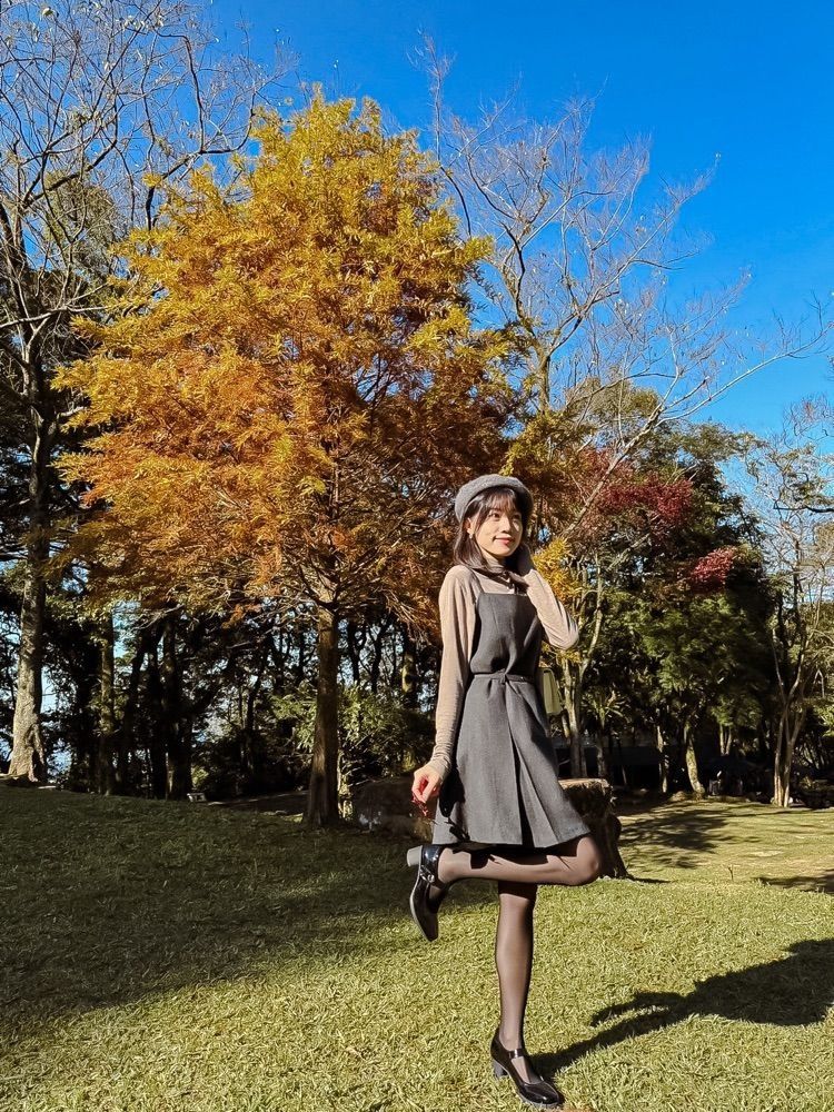 2025全台賞楓景點推薦！阿里山小笠原觀景台一片楓紅超夢幻、「這裡」除了楓葉還有落羽松拍起來美炸！-10