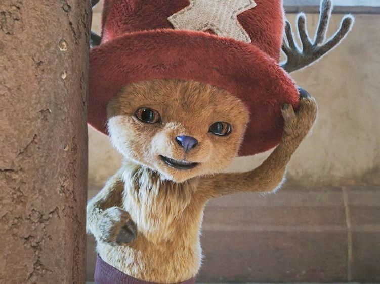 LISA最愛的蒙奇奇和《航海王》聯名了！超可愛「草帽魯夫蒙奇奇、真人版喬巴吊飾」日妞都狂搶！-5