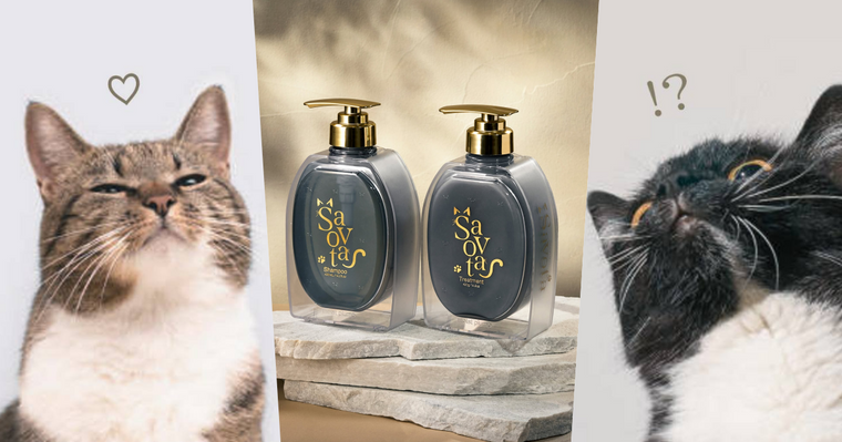 貓奴直接失控！日本爆紅「貓大麻洗髮精」登場，貓草×木天蓼香氣太犯規，貓大爺再也不傲嬌、只想整天黏著你！