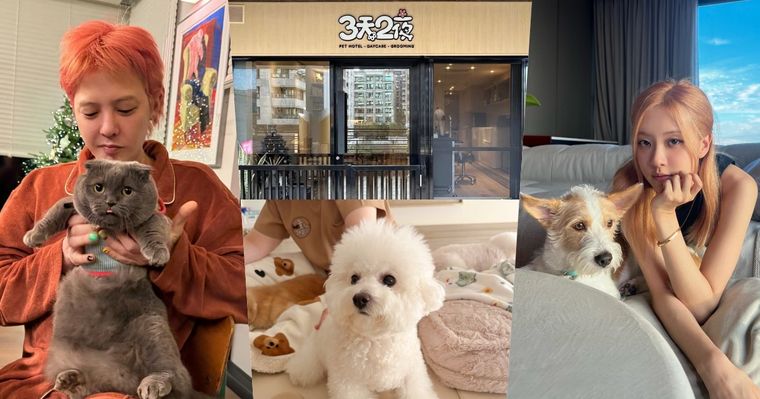 2026台北3大寵物旅館推薦！潘慧如「3天2夜旅館」對老狗超友善、這間按體型分區讓主人超安心！