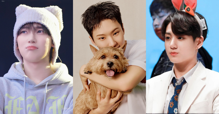 韓網公認6位最強「可愛系」KPOP男偶像！善禹果汁相魅力爆發，Hoshi、柾國小動物感十足！