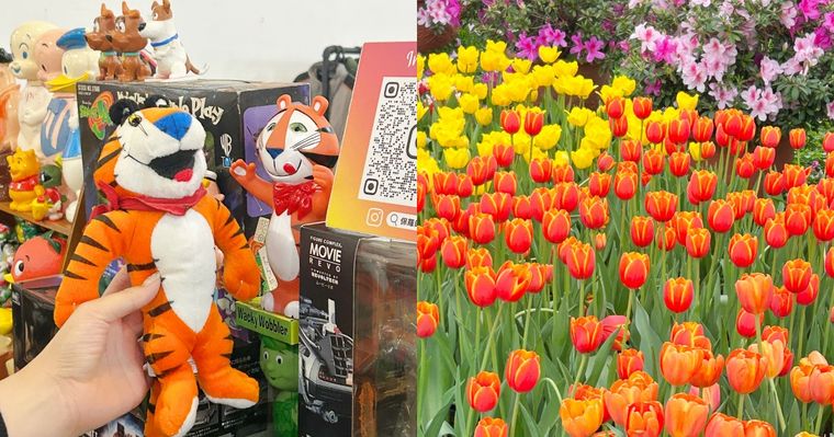 2026春季雙北必去活動懶人包！士林官邸鬱金香展美翻、2026台北蚤之市太好逛！