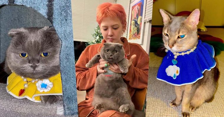 寵物界巨星！關於GD權志龍「愛貓ZOA＆IYE」的小秘密！名字合併還有可愛彩蛋？！