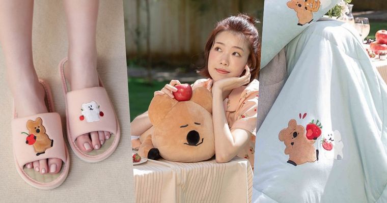 DINOTAENG矮袋鼠聯名家居小物太可愛！「QUOKKA趴姿抱枕、BOBO四季被」台灣就買得到！