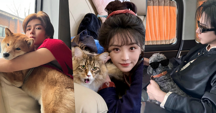 盤點陸劇頂流明星「神祕室友」！劉宇寧親寫詞曲寵溺、田曦薇抱巨貓上班、侯明昊胖柴不離身，私下根本全是卑微毛孩奴！