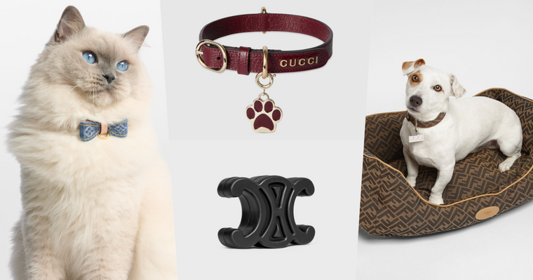 毛孩行頭比我還貴！8款奢華「精品寵物配件」推薦！LV蝴蝶結、GUCCI頸圈萌到爆、CELINE狗玩具擺著都好看！