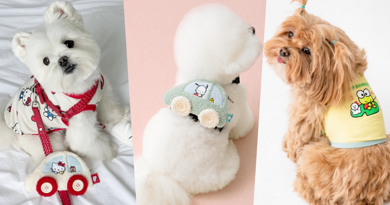 連韓牌都淪陷！三麗鷗聯名「寵物系列」可愛到失控！Kitty背心、帕洽狗車車小背包...還有冰枕收納包！