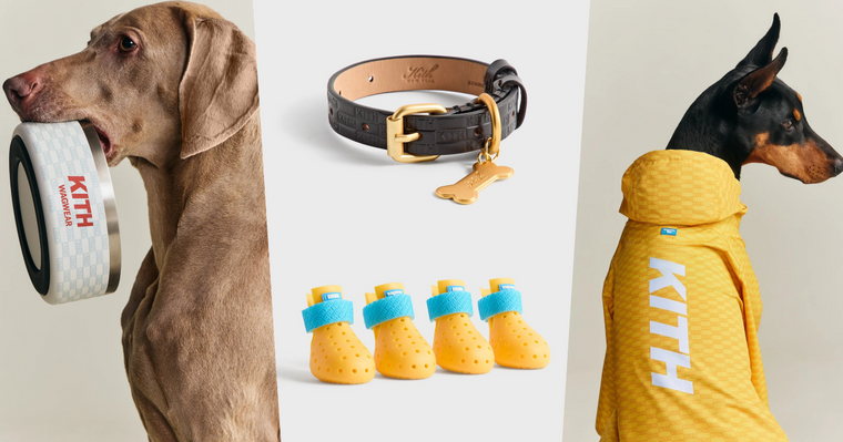 Lisa愛牌KITH也加入毛孩戰局！最新寵物系列「滿版風衣、胸背帶」被問爆！這波聯名直接刷新標準！