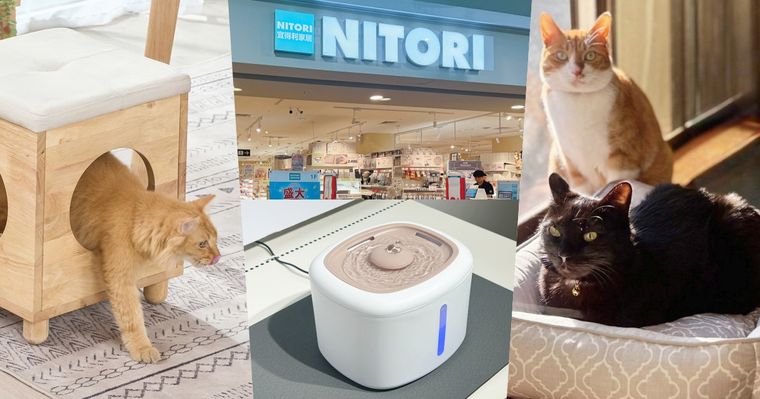 2026宜得利最新必買6大寵物用品推薦！涼感寵物床夏天必備、「寵物邊桌」讓你跟毛孩天天黏在一起！