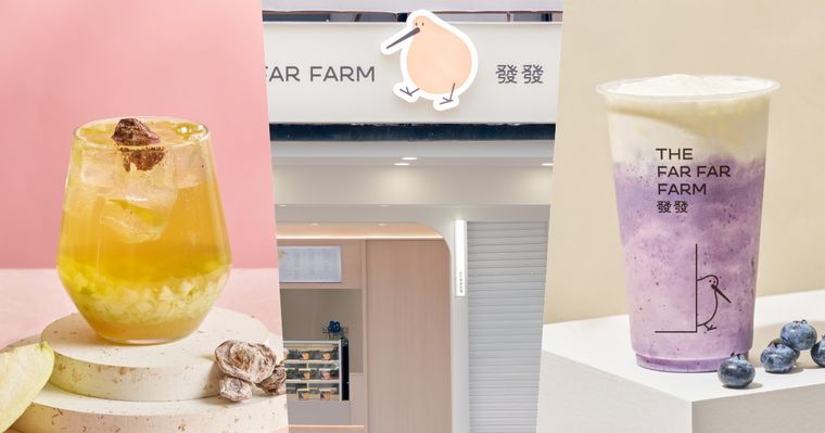 2026發發必喝推薦TOP6出爐！「梅子芭樂青萱」清爽又消暑、第一名藍莓控沒喝過會後悔！