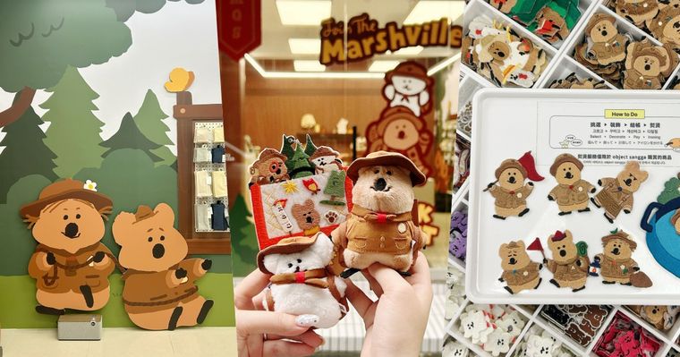 不用飛首爾排隊！童軍矮袋鼠台灣也有了！探險QUOKKA萌翻、限定貼紙只送不賣！
